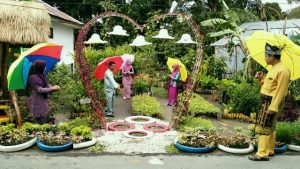 Kampung Tanaman Obat Keluarga di Mempura